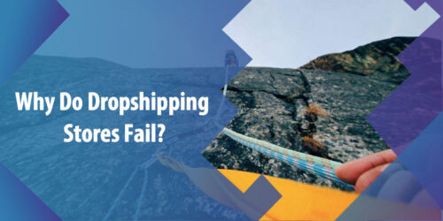 Why Do Dropshipping Stores Fail? Here Are the Reasons!